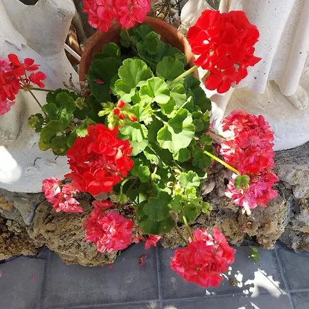 Apartamento Cantinho Do Sol