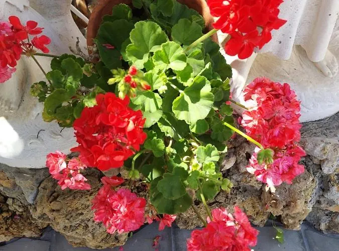 Apartamento Cantinho Do Sol